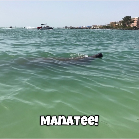 Any removal requests? No hard feelings! Lemme know! Updating list!TAGLIST SIGNUP - Picture 4 of 12